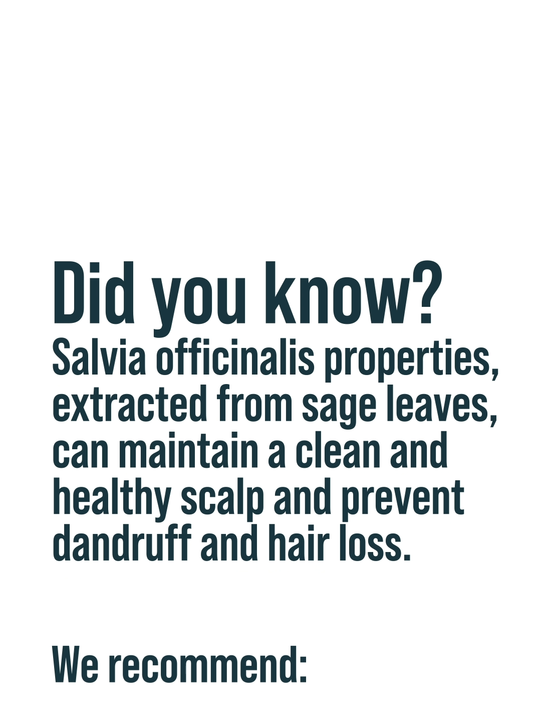 🚿🫧 Looking for a non-surgical way to enhance your hair growth? Our shampoos and conditioners are a rich source of organic sage complex. Order yours now at alviarmani.co.za. #FYP #ForYouPage #FYP #ForYouPage #HairTransformation #AlviArmani #AlviArmaniSA #HairRestoration #HairTransplant #FUE #FUESouthAfrica #HairClinic #hairreplacement #FYP #ForYou #HairThinning #HealthyHair #HairCare #hairloss #FueHairtransplant #hairgrowth #ShampooForHairloss