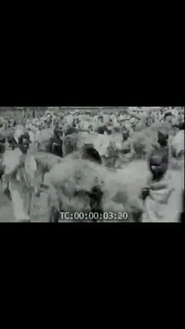 Stepping Back in Time: Addis Ababa of the 1920s #HistoricAddisAbaba1920 #addisababa #trending #fypシ゚viral #fyp #fyp #habeshatiktok 