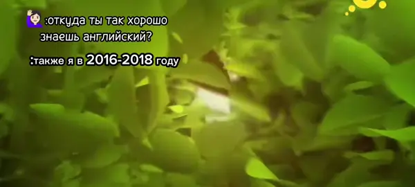 олдам бригада не нужна❤️