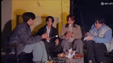 camping with#jay #jake #sunoo #heeseung #CapCut #enhypen #engene #enhypenengene #enhypenpov #enhypen_belift #enhypenedit 
