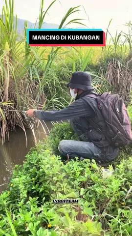 Membalas @ramaa mancing di kubangan sawah🤤✅ #indo1team #nguraskubangan