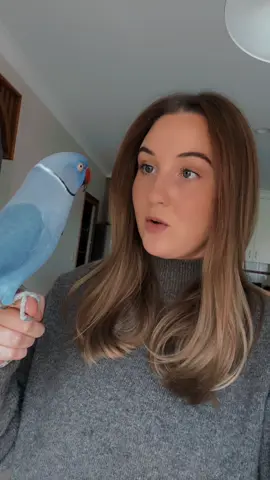 The aftermath of rollers… and Hamlet commentary 