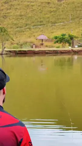 Afundou a bóia é fisgada neles! 🎣 #pescaria #fishing #fishingislife #fishingtime #pesca #pescariaesportiva #pesqueirosdobrasil #pesqueiro #tamba #tambacu #tambaqui #peixegrande 