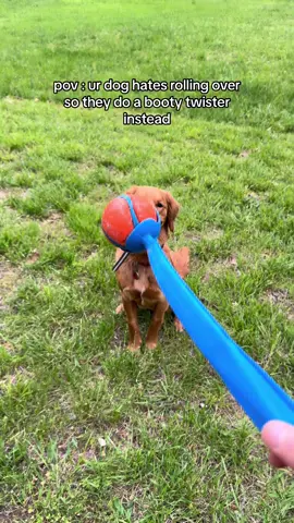 no time for rolls when fetch is involved 