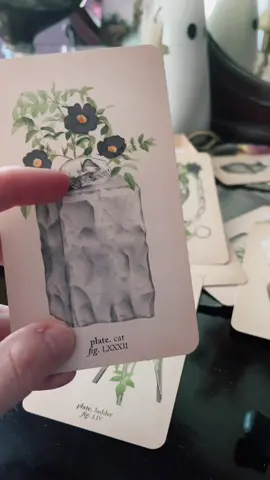 Replying to @Kelli Not all 👻 like cats I guess 🥲 Tarot deck by @Claire Goodchild 🐈‍⬛ #haunted #paranormal #tarot #hauntedoffice #paranormalinvestigator 