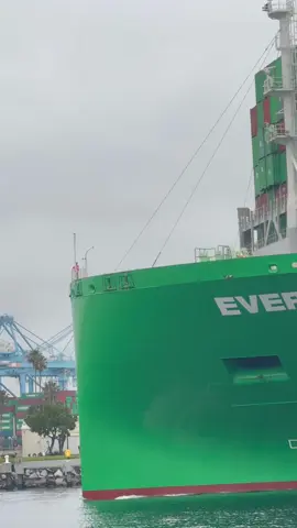 Ever Magi 🟩 #ship #vessel #shipping #spotting 