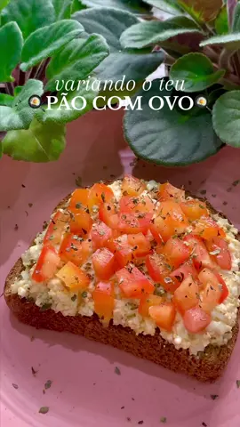 TOAST SALGADA🍞🍳😋 Para variar o teu pão com ovo!!! * Ovo cozido (coloquei 1 e 1/2, mas pode ser 1 ou 2); * 1 colher de sopa de cottage light (também pode ser requeijão light); * Temperos a gosto (coloquei páprica, sal e pimenta); * Tomate picado por cima (opcional). Eu juro que essa pastinha fica incrível🤩🤩 #fyp #fypシ #receita #saudavel #alimentacaosaudavel #Fitness #fit #receitasimples 