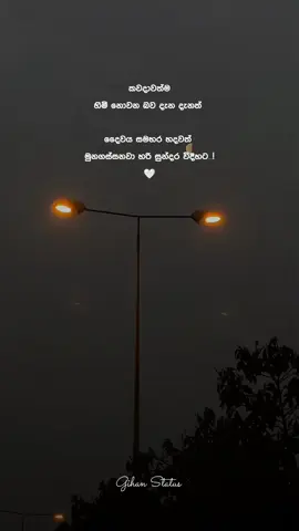 නොලැබෙන බව දැන දැන මිනිස්සු ආදරේ කරනවා දැනුන හදවතට 🥺🤍