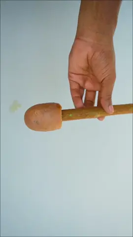 #plants #tiktokplants #fyp #plantslife 