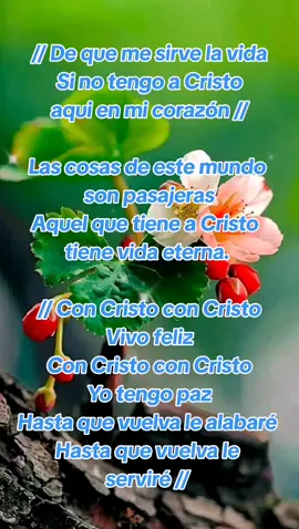 #cristovive #viraltiktok #dios #alabanzas_cristianas #hagamosviralajesús #alabanzas #alabanzas #perdoname #necesitomasdetiseñor😊💓🙌🌍 #graciasatihoysoyfelizjesus♥️🙏🏻 #graciaseñor🙏 #diosnofalla 
