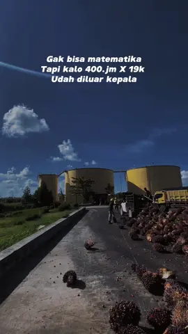 #pabrikkelapasawit #sortasi #fyp 🔥🔥🔥