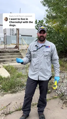 Replying to @Ali Paca #tiktok #viraltiktok #chernobyl #dogs #foryou #spayandneuter #pets 