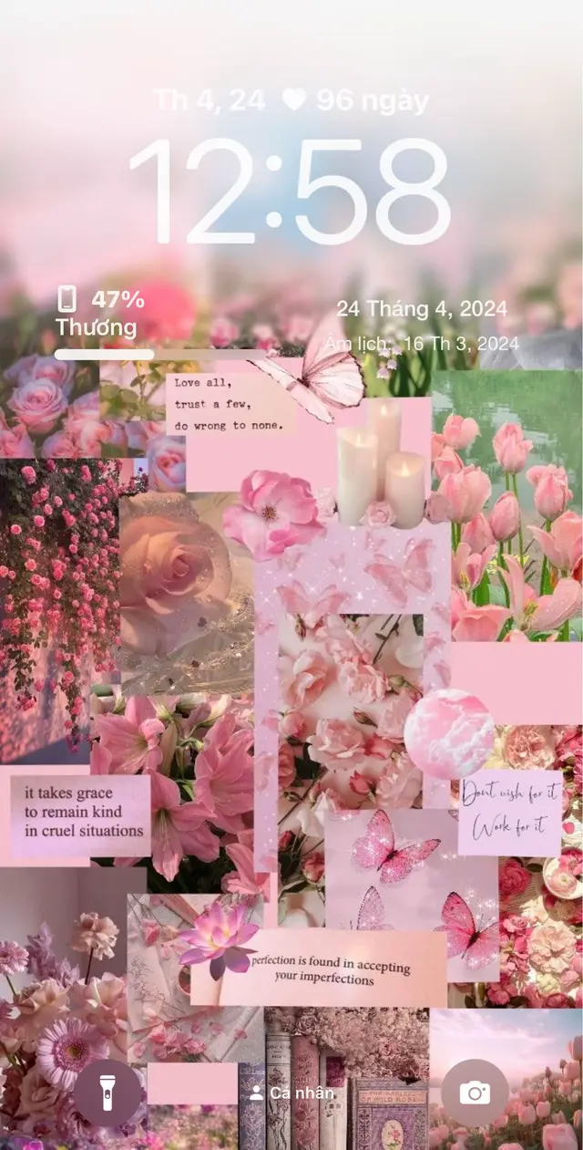 Hình nền iphone, hình nền điện thoại hoa hồng xinh yêu ♥️♥️♥️#xuhuong #hinhnen #hinhneniphone 