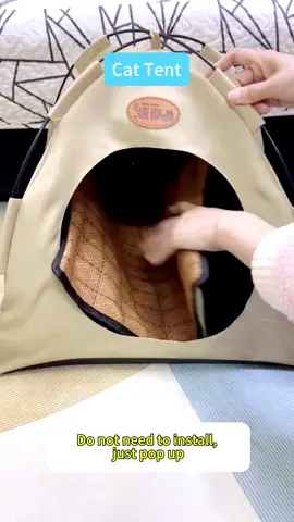 My cat loves the cat tent. You should try it.#pettent #cattent #cutecat #catsoftiktok #cutekitty #meow #catnest #happycat #fyp #goodthing 