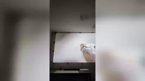 Great projector#projector #auking #Home 