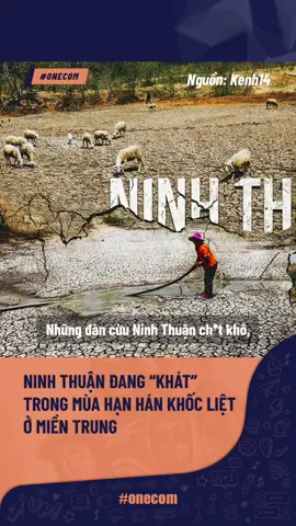 Ninh Thuận đang 