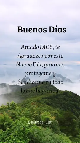 Buenos Días  Amado DIOS, te Agradezco por este Nuevo Día, guíame, protegeme y Bendiceme en todo lo que haga hoy. DIOS mis fuerzas pueden quedarse cortas, pero si tu vas conmigo, puedo enfrentarlo todo. DIOS acompáñame en este Nuevo Día, que todo sea según tu Voluntad Todo me lo has dado, Todo te pertenece. Agradece a DIOS en todo momento, aún en los tiempos difíciles. Recuerda que sus planes son mejores que los tuyos y todo lo que Él permite es para bien. DIOS SABE LO QUE HACE ¡CONFIA! 