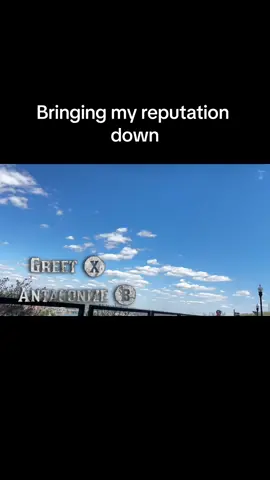 Just some clips of some lovely folks! #npc #reddeadredemption2 #awkward 