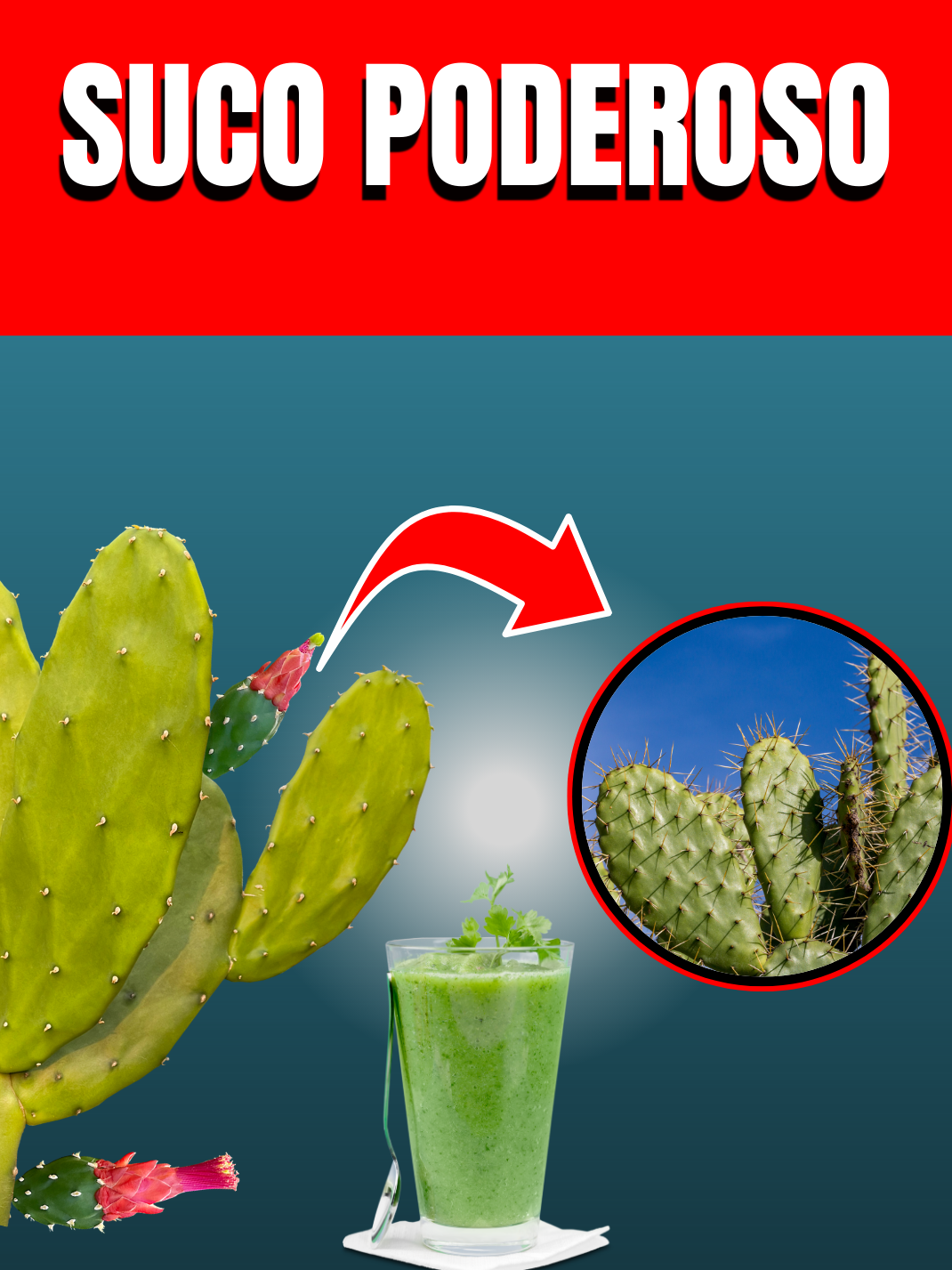 Suco Poderoso de Cacto #cactosesuculentas #cacto #cactos #palma #suco #sucopoderoso #sucodetox #sucoemagrecedor #vem #tiktokdicaslegais #fy #fypppppppppppppp #kaktus