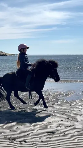 WOHO🐎💨 Happy fresh pony😍 #horseriding #horserider #horse #pony #shetlandpony #ponylove #fails #funnyanimals #daughter 