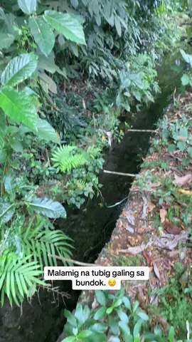 #Karasakas #Pangasinan #Mountain #NatureVibes #Nature