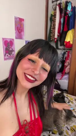 Amanda cuando me aruña 😭😭 #imamanda #gatos #gatalover 