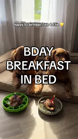 where has the year gone? 😭