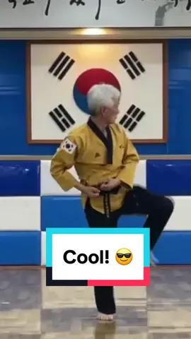 Cool! 😎 #Taekwondo #Tkd #WorldTaekwondo #Fitness #sgsports #poomsae #fyp 