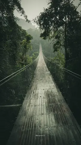 Miles Away ft Claire Ridgely ~ Bring Me Back  . #storyliriklagu #videostorywa #music #storylagu 