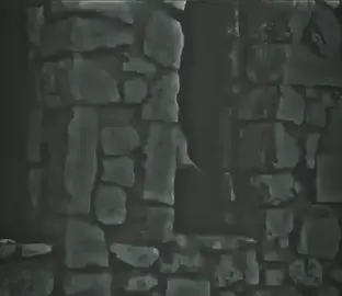 #خيول#العربي#🫶🐎🫶