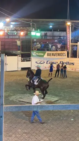#caballostrotadores🇳🇮 #hatofer2024🤠 #ranchoks 