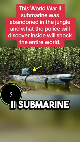 This World War II submarine was abandoned in the jungle and what the police will discover inside will shock the entire world. #usa #uk #LearnOnTikTok #truestory