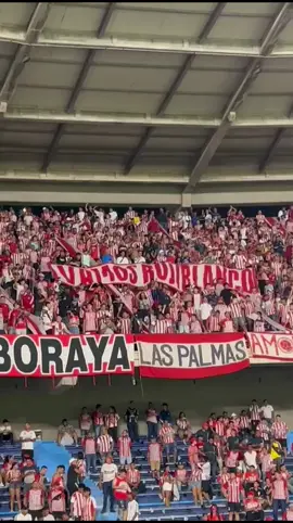 #dalecampeon #viralvideo #juniordebarranquilla siempre tu lado🇦🇹🇦🇹 ATR a todo ritmo no tengo plata y te sigo igual..@Junior manda 🇮🇩 @Club Junior FC @chelseafreile 