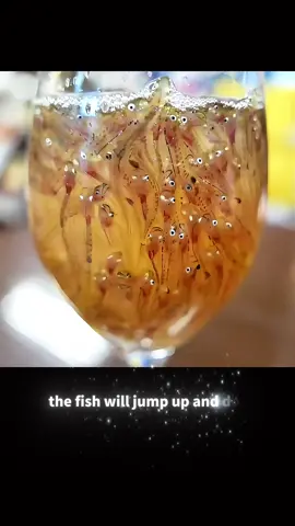 Have you ever hada live fish drink?🤭#foryou #tiktok #fyp #worldfood 