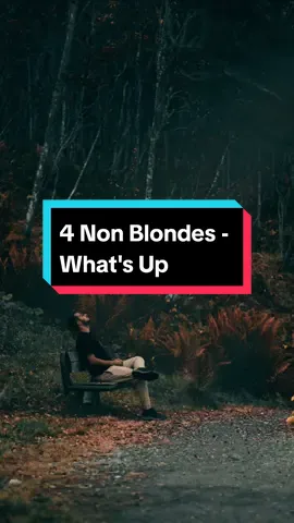 what's up #4nonblondes #whatsup #dimassenopati #musicstory #fyp #foryou #CapCut 