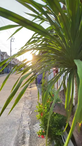 #ท้องฟ้า⛅🌈 #เธรดเพลง #กรุงเทพ #เธรดวันนี้ #ยืมลงสตอรี่ได้ #อยากดังงง #ฟีดดดシ #fypg 