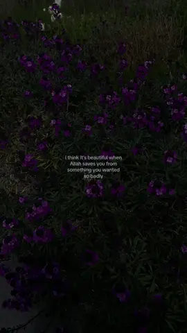 yep #muslimtiktok #Allah 