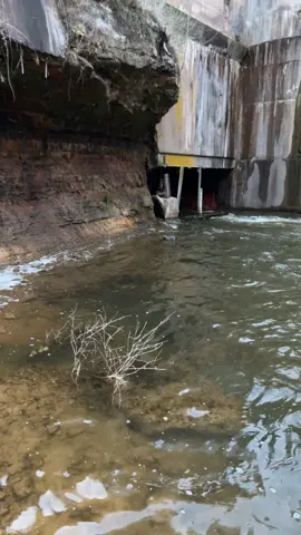 Nature is beatiful 🥰