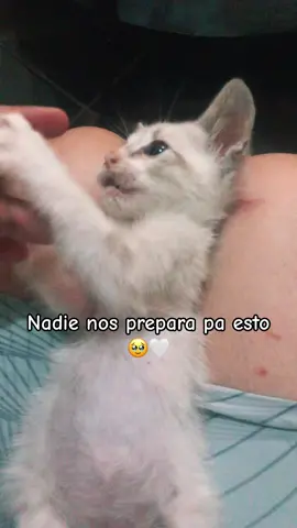 #f #aq #sad #gat #amordetododia #viralvideo 