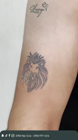 لابردنی تاتۆ