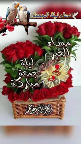 #دعاء#ليلة#الجمعة_صلو_على_نبينا_محمد  #مساكم_معطر_بذكر_الله 