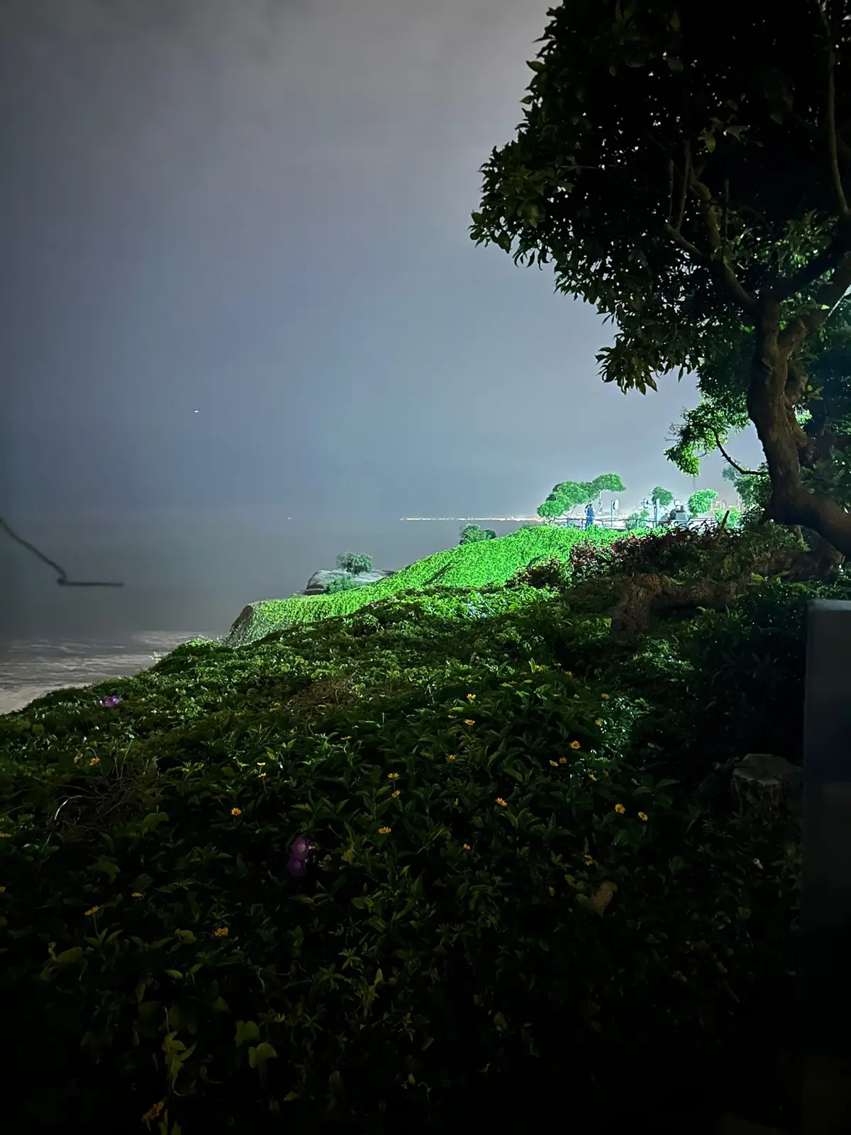 #fyp #photos #trend #paisaje #fy #xyzbca #viral #noche #playa #miraflores 