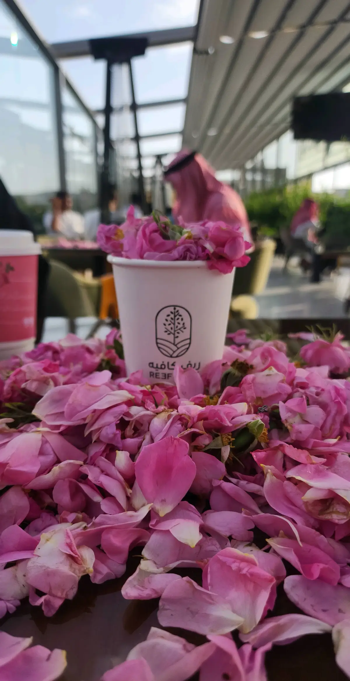 الورد الطائفي 🌺✨ #الورد #الورد_الطائفي #foryoupage #taif #fyp #foryou #explore #اكسبلورexplore #الشفاء #الطايف #الطائف #الطايف_الان #موسم_الطايف #موسم_الورد_الطائفي #ترند #جديد #اكسبلور 