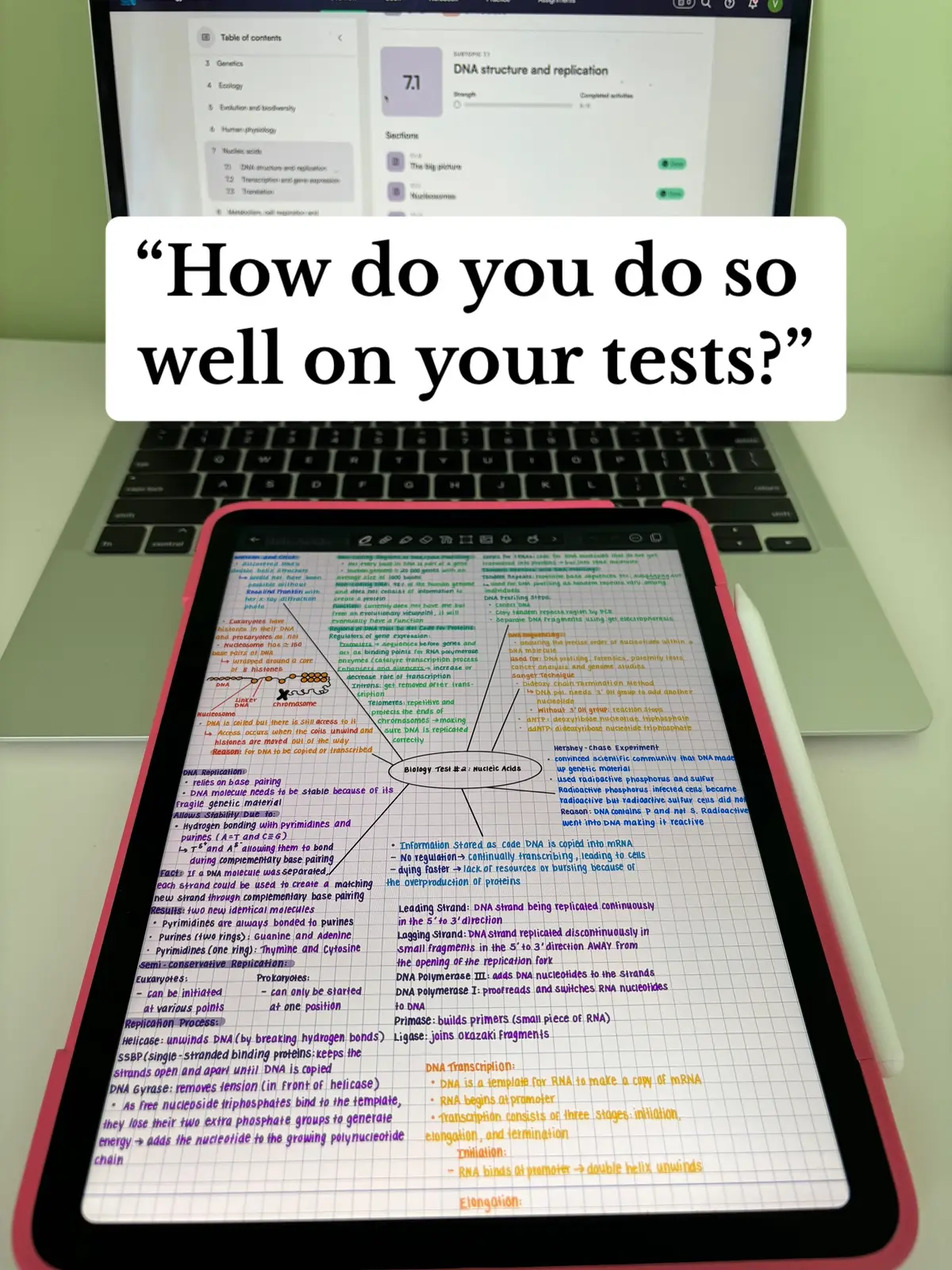 My iPad notes are linked in my bio! #studytok #ipadnotes #microinfluencer #tiktokgrowth #motivation #viral #smallcreator #ib #funny #makeup #grwm #trend 