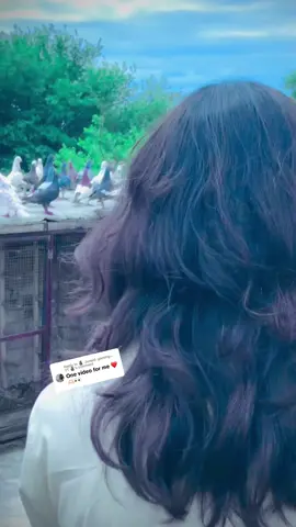 Replying to @🗿. Junaid  gaming۔. YT 🗿 