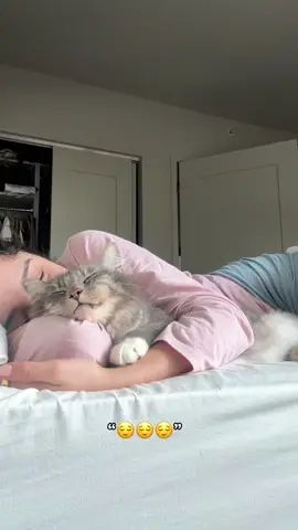 A cuddly lifestyle means taking the extra time to give your cat forehead kisses in the morning 