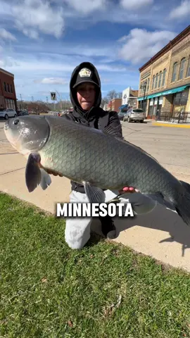 Part 8: The Bigmouth Buffalo 🦬 #fishing #fishtok #fishingtiktoks #carpfishing 