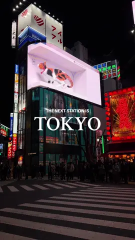 🇯🇵 Must visit Tokyo in caption ⬇️  I arrived and departed my Japan trip in Tokyo giving me plenty of time to visit some of the most memorable sights and restaurants ever. Below are a few of my favorites — Save for planning!  🍜 Ramen - @veganbistro_jangara  - @ichiran_jp  🥞 Fluffy pancakes - @bam_bi_coffee  - @ahappypancake_official  🗼Experience  - @teamlab.planets  - @tokyoskytree_official  - @ghibliusa Museum - @shibuya_sky  - Giant Cat billboard  - Shinjuku at night - Harakjuku - Shop Ginza 🍡 Market - Omoide Yokochō - Tsukiji Fish Market - Shimokitazawa - Amaya Yokochō ⛩️ Shrine - Asakusa Senoji Temple - Meiji Shinto Shrine  #tokyo #japan #東京 #日本語