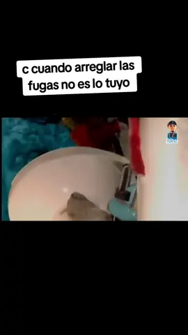 cuando quieres arreglar el pequeño  problema de la casa y lo terminas agrandando #tiktok #humor #ludovicopeluche #familiapeluche #longervideos #fypシ 
