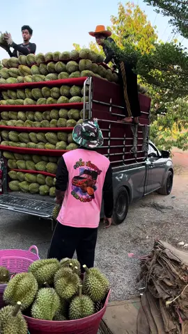 ทุเรียนจันทบุรี#เด็กใต้ #กระบะบรรทุกหนัก #ดันขึ้นหน้าฟีดที #รถคอกซิ่ง #รถคอกซิ่ง #เด็กใต้ป้ายชุมพร #เทรนด์วันนี้ #คอกซิ่งไทยแลนด์ #ทุเรียนหมอนทองจันทบุรี🌲💯 